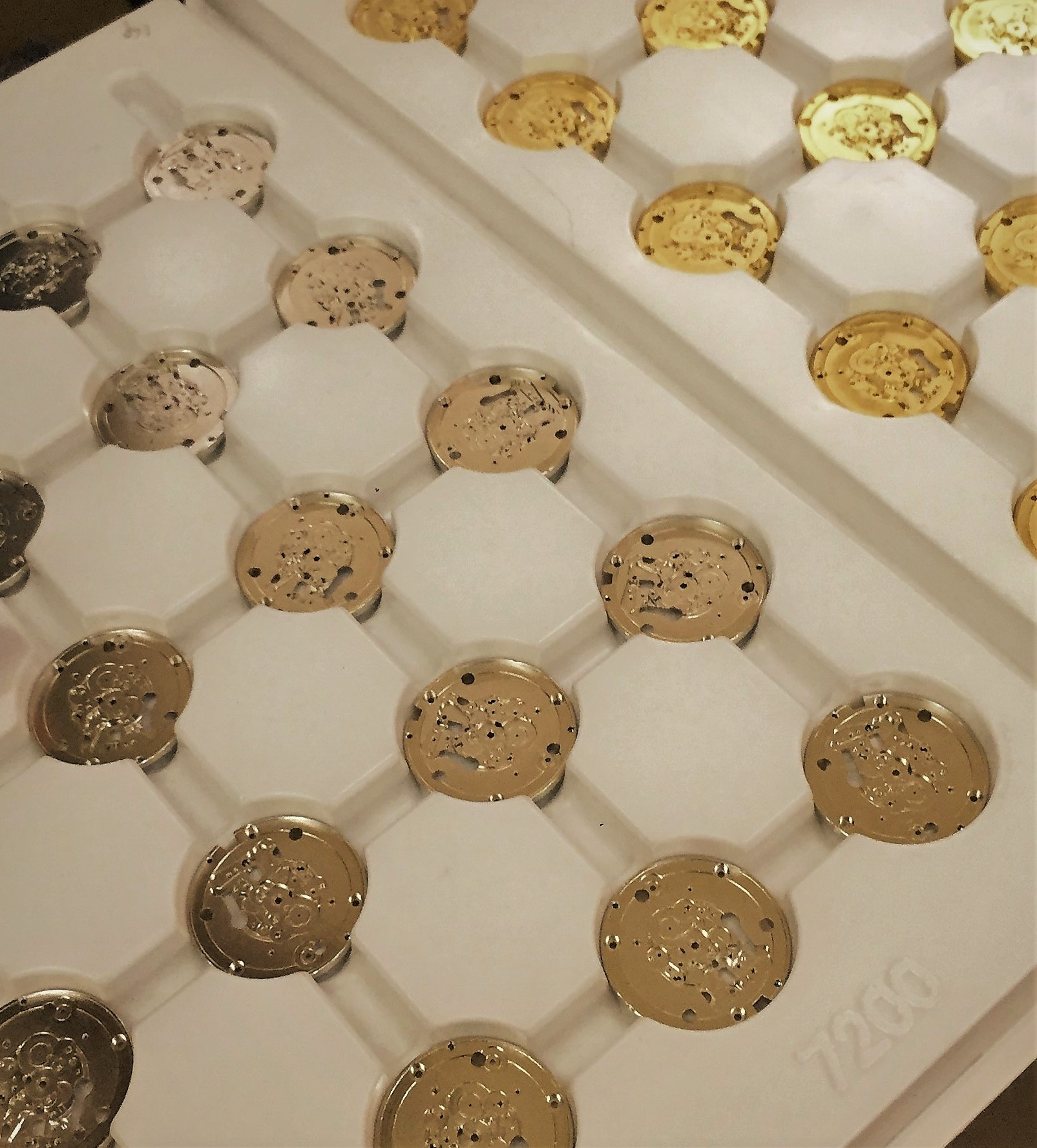 Titan Watch Movement