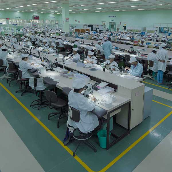 Watch Movement Assembly